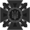 DSNS UA